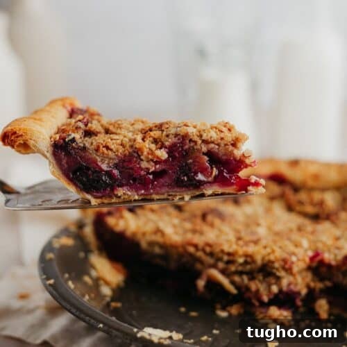 A slice of cherry and rhubarb pie