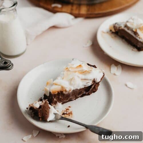 A slice of chocolate coconut pie