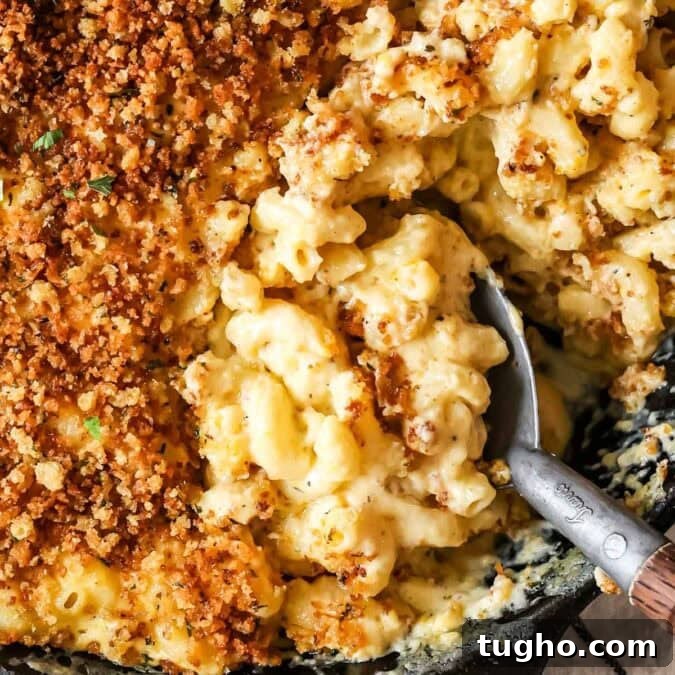 Close-up of creamy, cheesy baked mac and cheese with crispy panko.