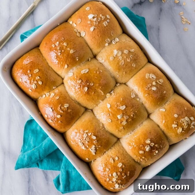 Overhead view of a pan of golden brown honey wheat rolls.