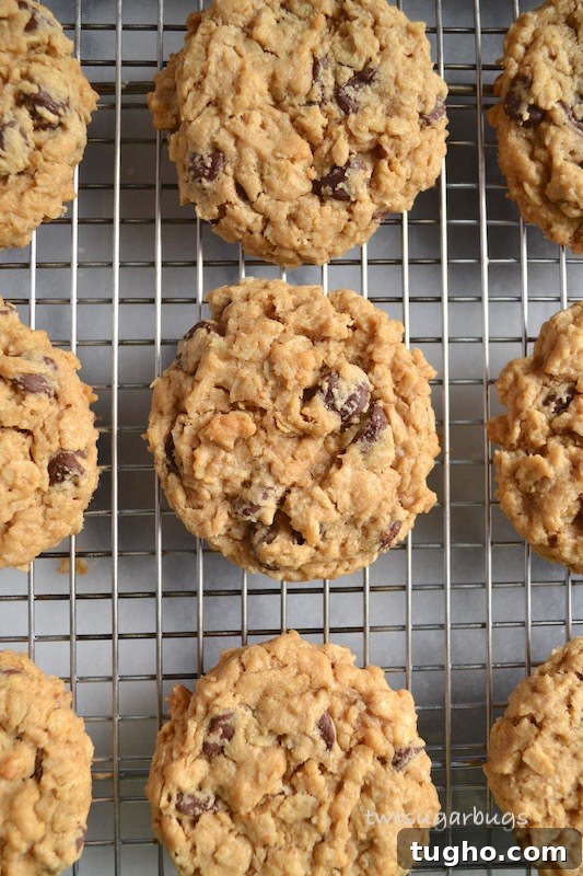 Chewy Oatmeal Peanut Butter Chocolate Chip Cookies Recipe 3 cookies on a wire cooling rack