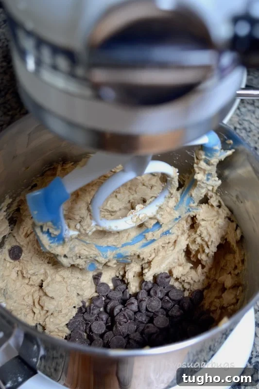 Chewy Oatmeal Peanut Butter Chocolate Chip Cookies Recipe 5 cookie dough batter in mixer