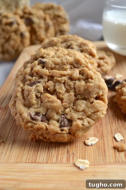Chewy Oatmeal Peanut Butter Chocolate Chip Cookies Recipe 6 cookies on a cutting board
