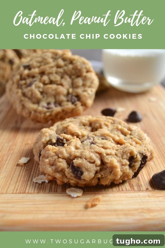 Chewy Oatmeal Peanut Butter Chocolate Chip Cookies Recipe 7 pinterest graphic for oatmeal, peanut butter, chocolate chip cookies