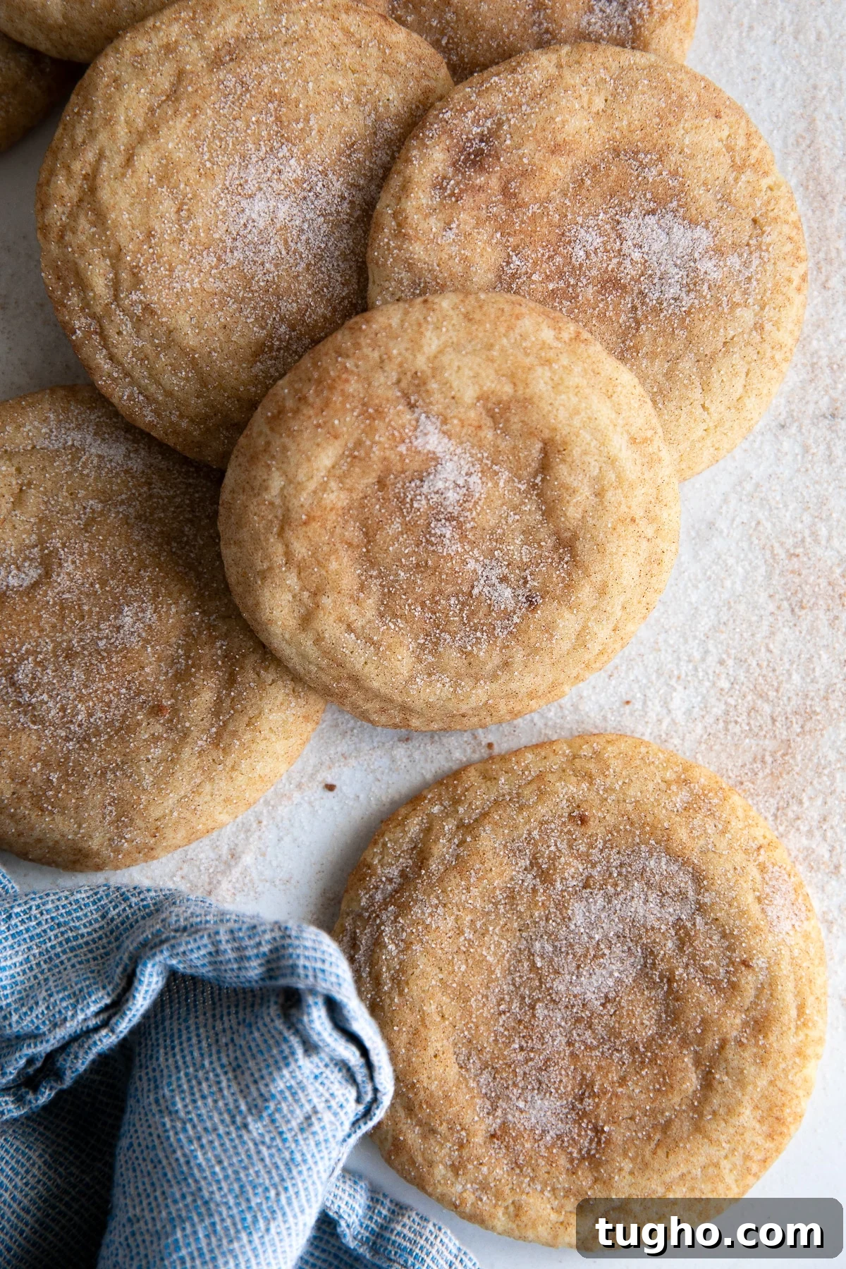 Soft and Chewy Snickerdoodle Cookies Recipe 3 Baked snickerdoodle cookies sprinkled with extra sugar and cinnamon.