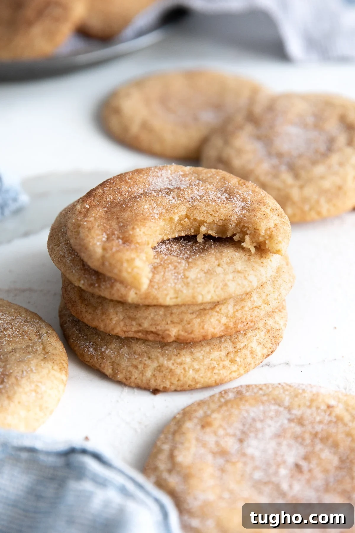 Soft and Chewy Snickerdoodle Cookies Recipe 6 Small stack of freshly baked snickerdoodle cookies.