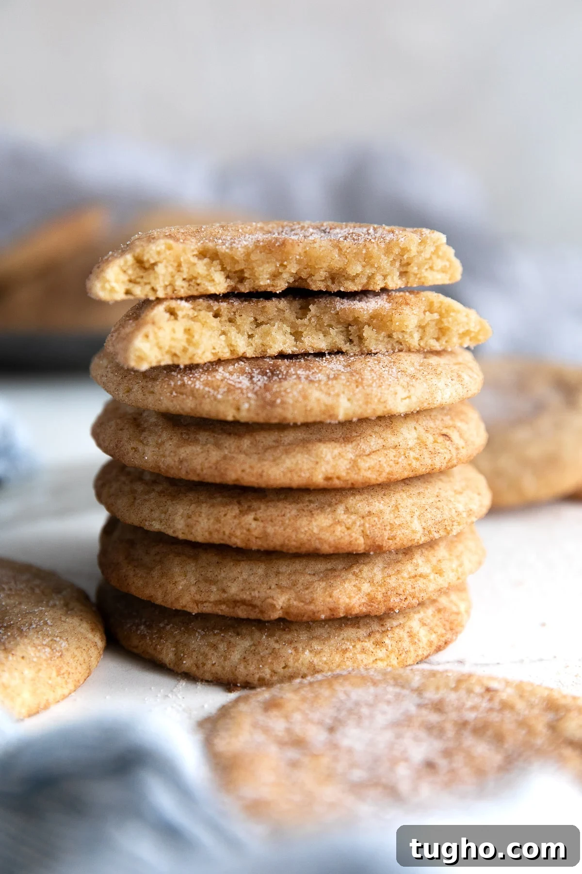 Soft and Chewy Snickerdoodle Cookies Recipe 7 Stack of five snickerdoodle cookies topped with one snickerdoodle broken in half.