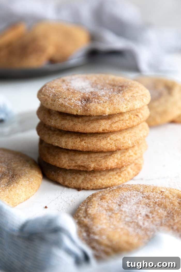 Soft and Chewy Snickerdoodle Cookies Recipe 8 Stack of five snickerdoodle cookies.