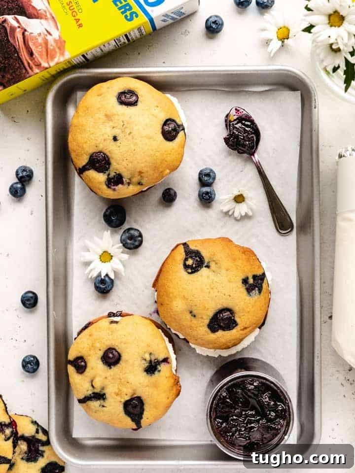 Blueberry Whoopie Pies Recipe: Soft Cream-Filled Treats 2 blueberry whoopee pies on a tray with blueberries and flowers around
