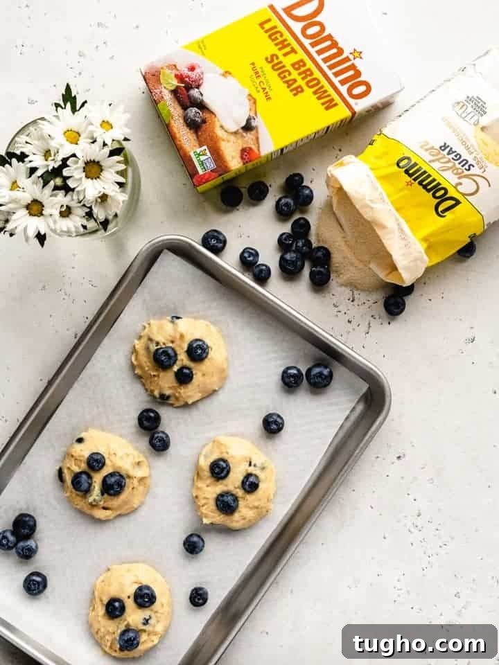 Blueberry Whoopie Pies Recipe: Soft Cream-Filled Treats 7 overhead of blueberry whoopee pie cakes ready for baking