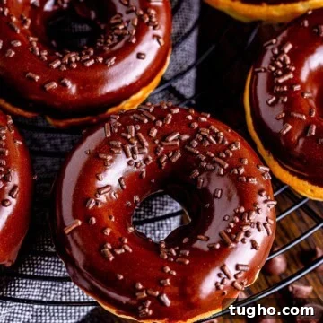 Fluffy Baked Chocolate Chip Cake Donuts Recipe 9 img 59670 10