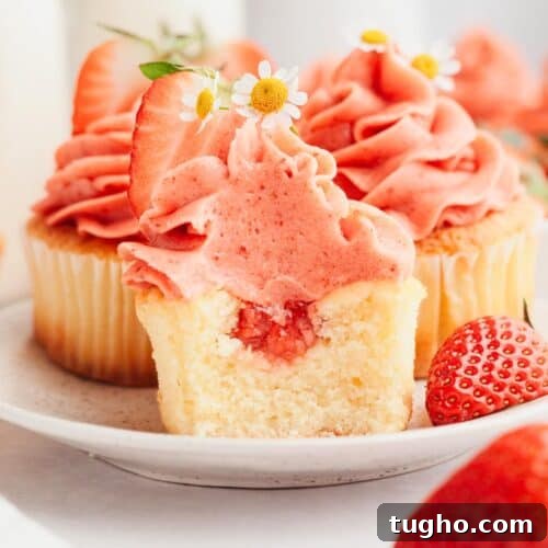 A vanilla cupcake with strawberry filling and strawberry frosting, a bite has been taken out of it.