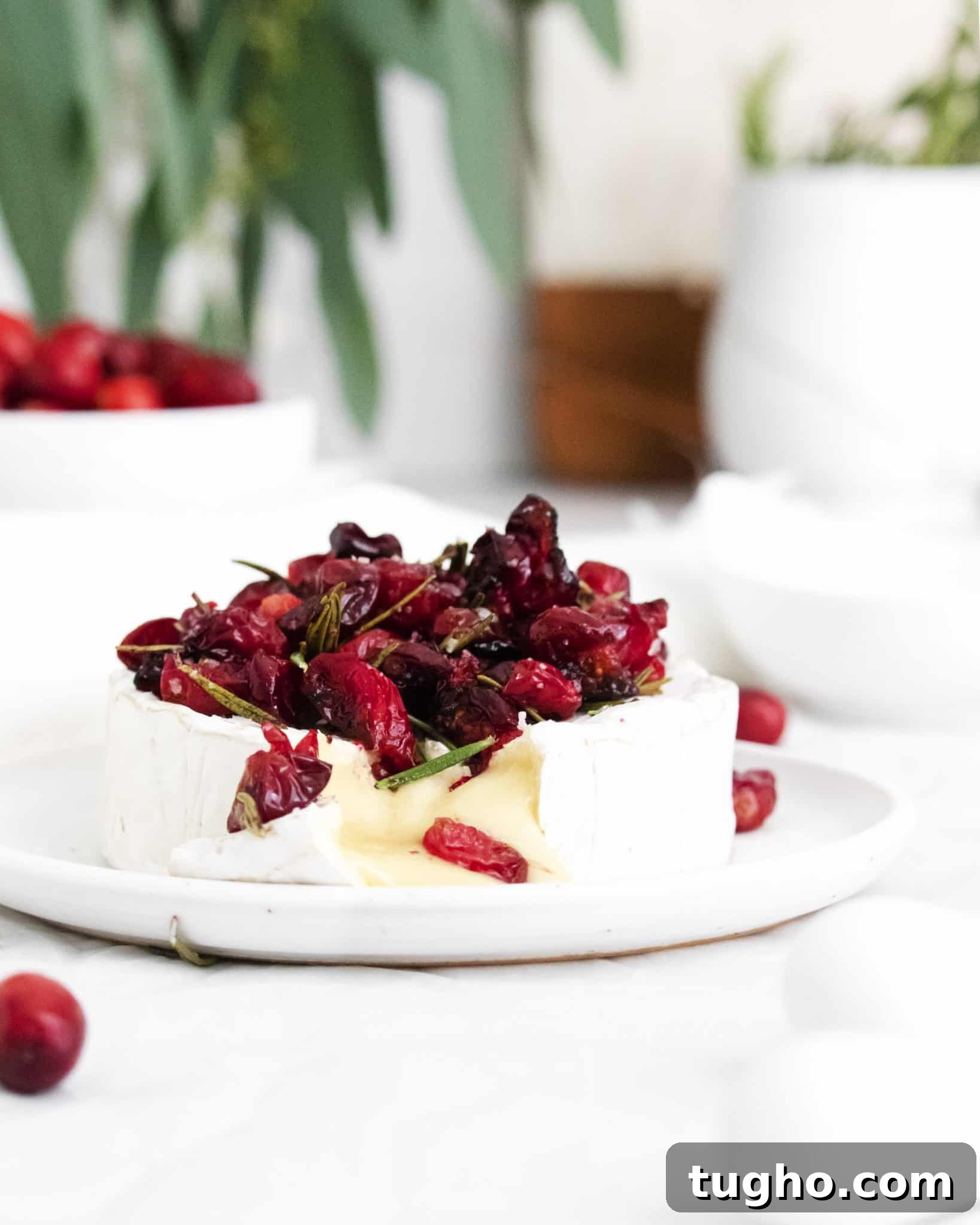 Baked Brie with Roasted Cranberries: Warm Appetizer 2 Warm baked brie topped with roasted cranberries cut open to reveal gooey, delicious cheese pouring out.
