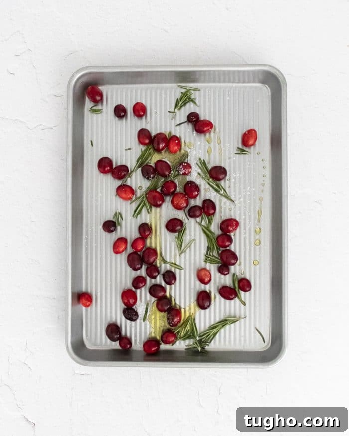 Baked Brie with Roasted Cranberries: Warm Appetizer 4 Fresh cranberries, rosemary, salt, and olive oil mixed together on a baking sheet before being roasted.