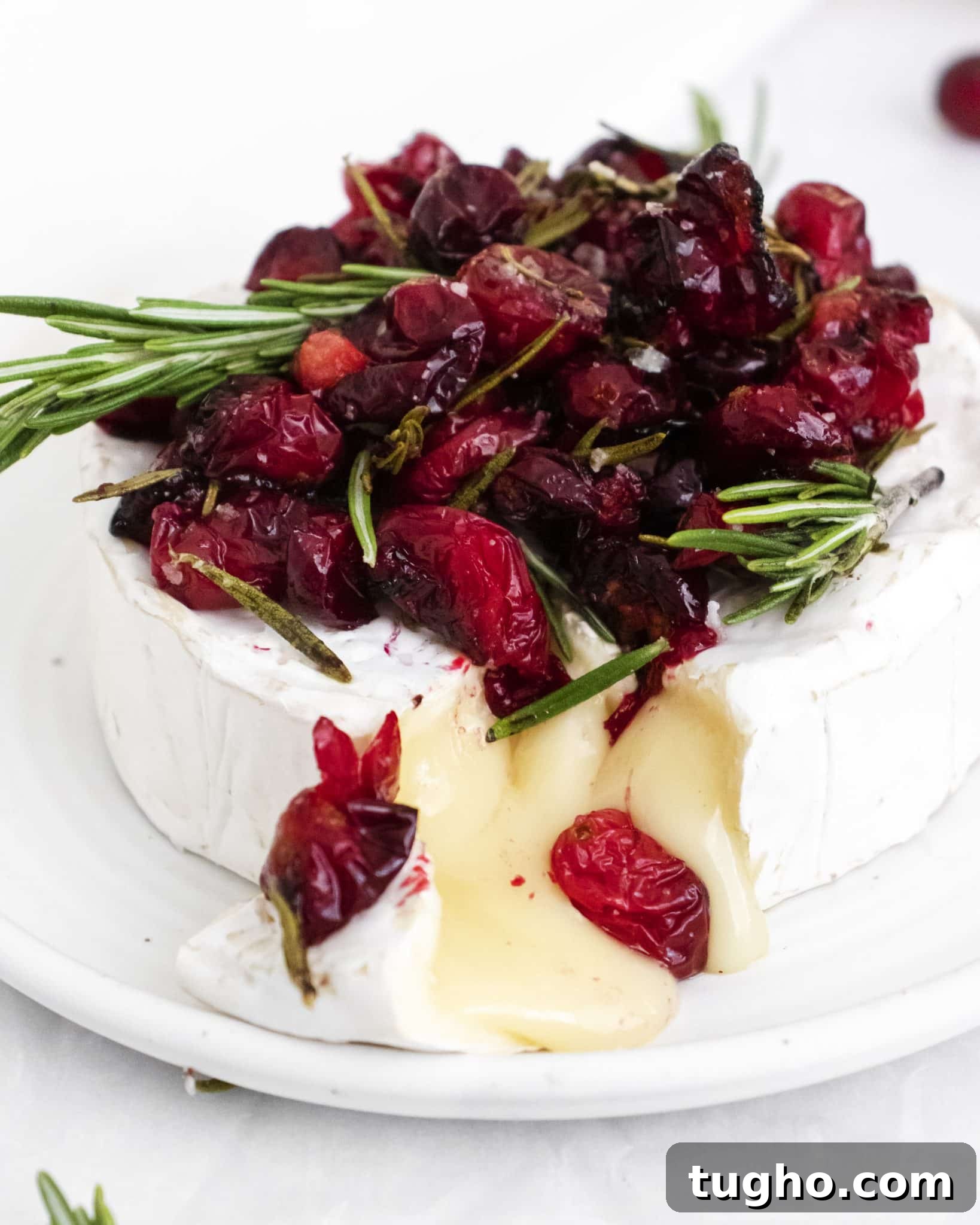 Baked Brie with Roasted Cranberries: Warm Appetizer 8 Warm baked brie topped with roasted cranberries cut open to reveal gooey, delicious cheese pouring out.