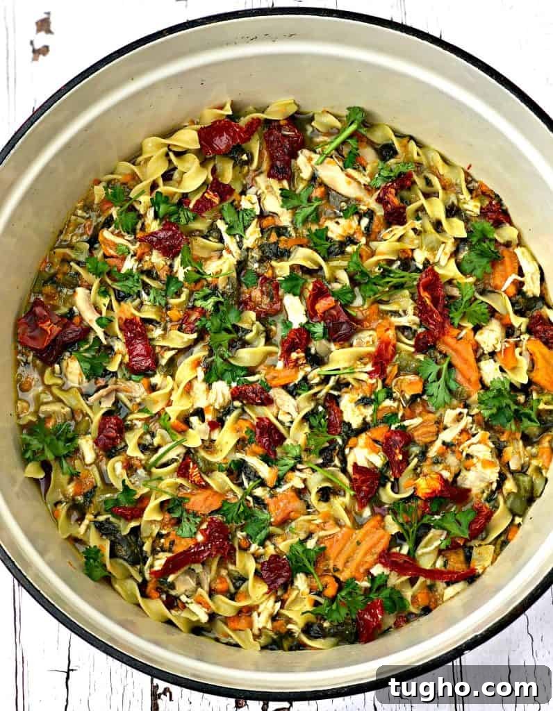instant pot slow cooker chicken noodle soup with spinach