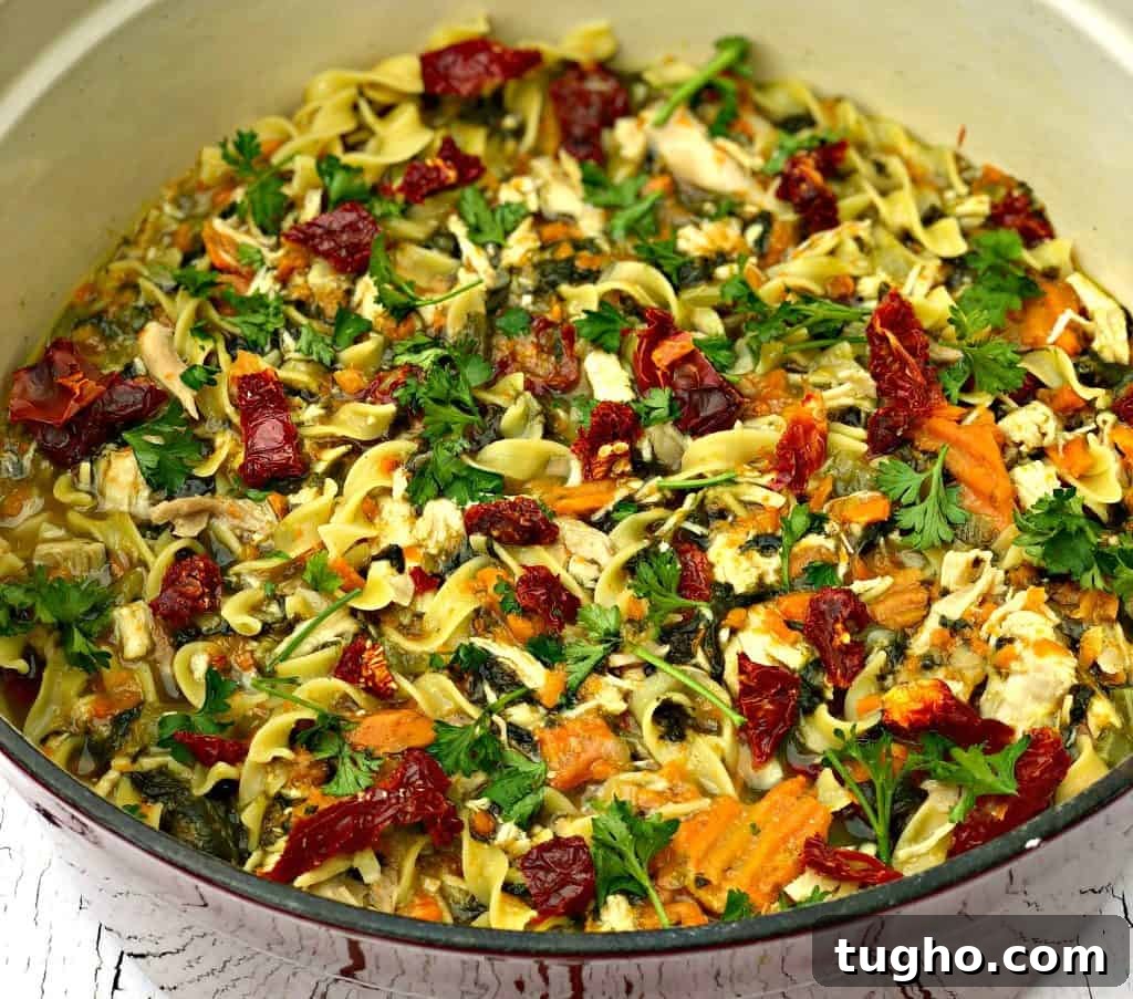 instant pot slow cooker chicken noodle soup with spinach