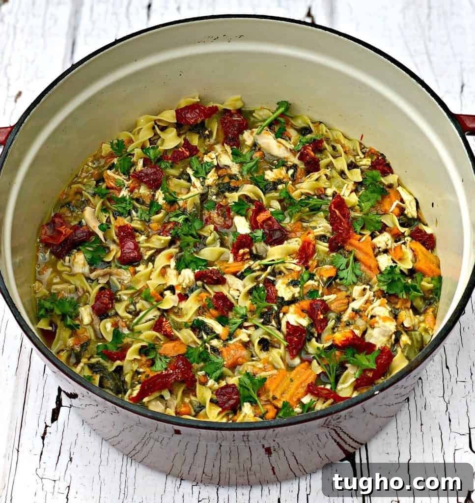 instant pot slow cooker chicken noodle soup with spinach