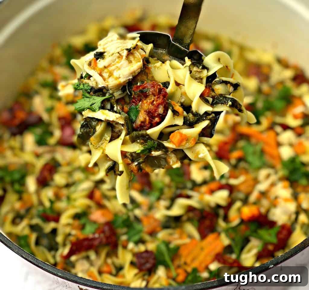 instant pot slow cooker chicken noodle soup with spinach