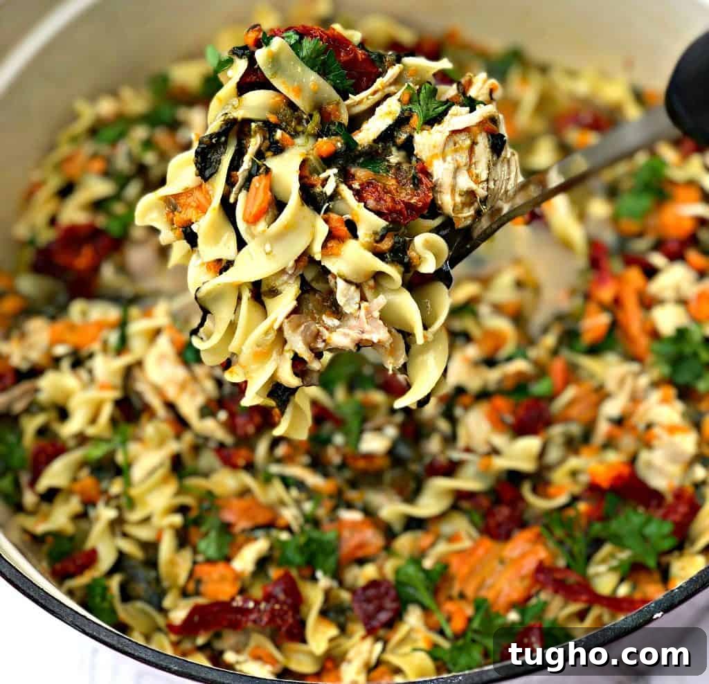 instant pot slow cooker chicken noodle soup with spinach