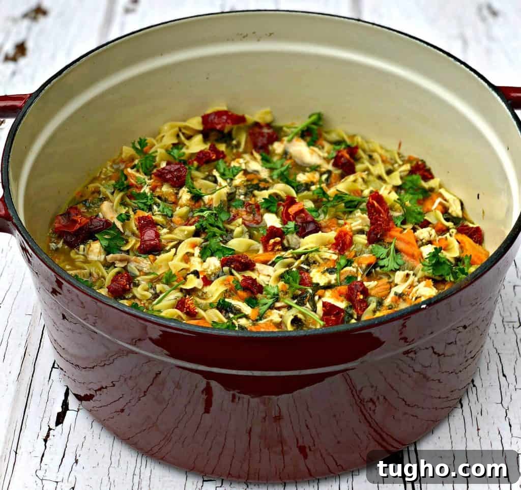 instant pot slow cooker chicken noodle soup with spinach