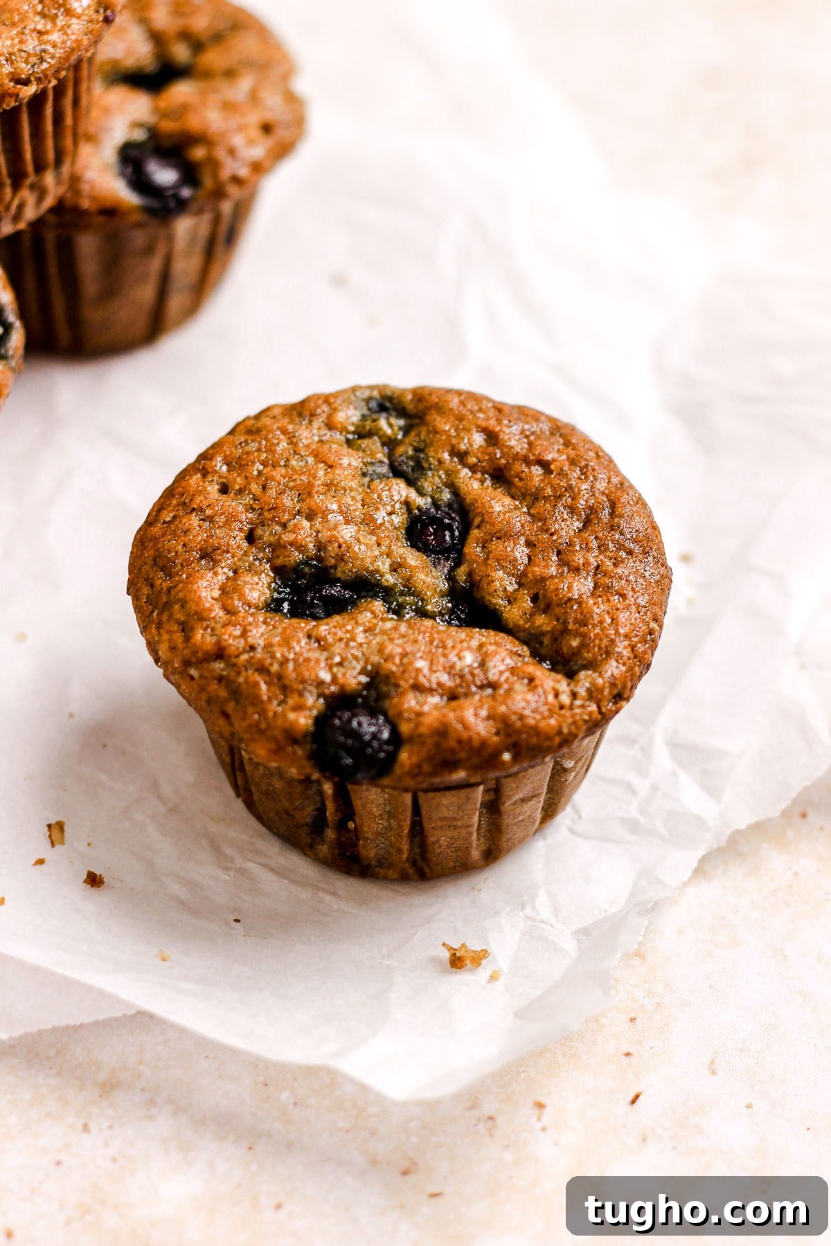 Moist Blueberry Banana Muffins Recipe 4 img 6322 3