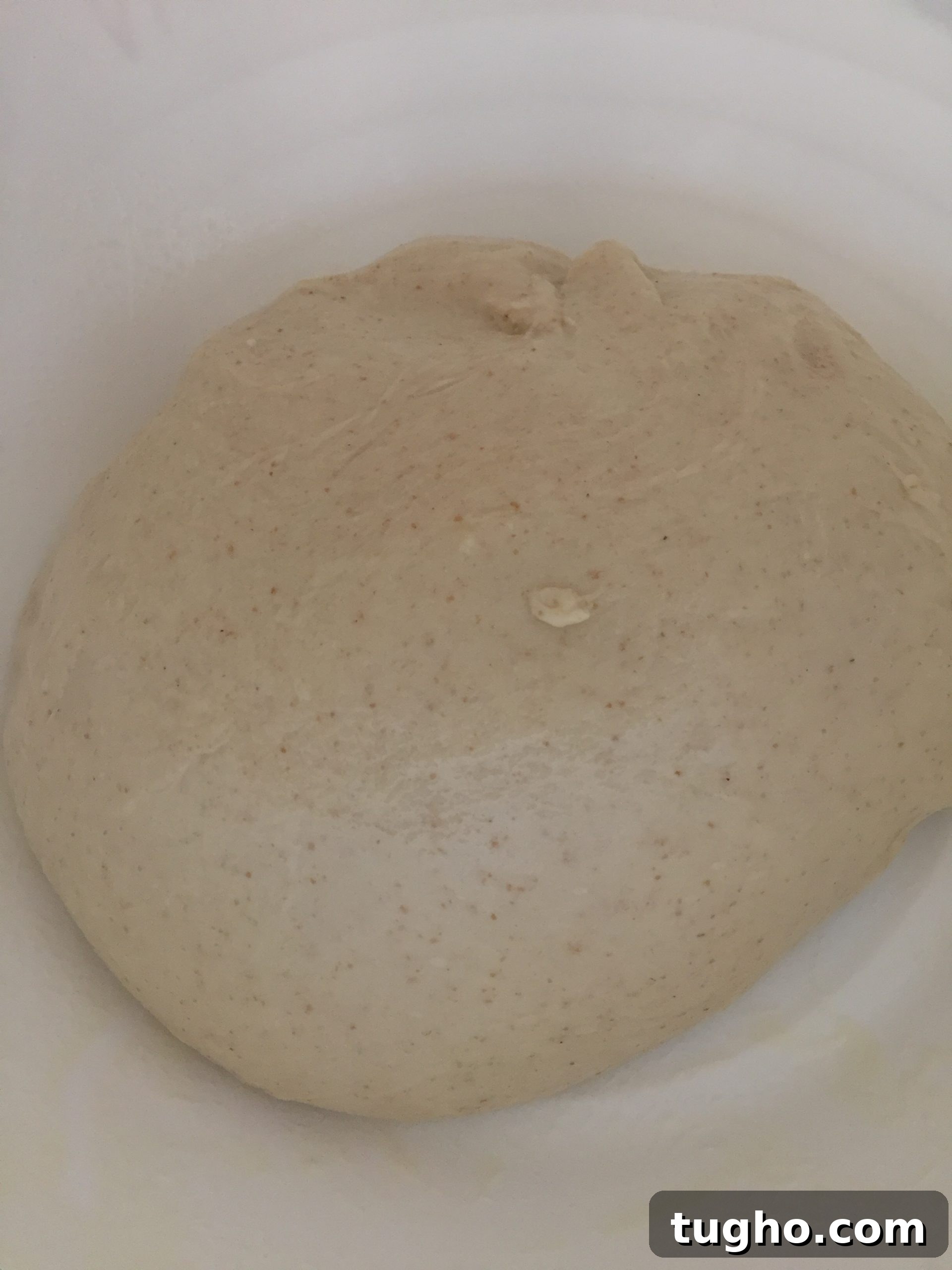 Naan dough Naan dough before proofing