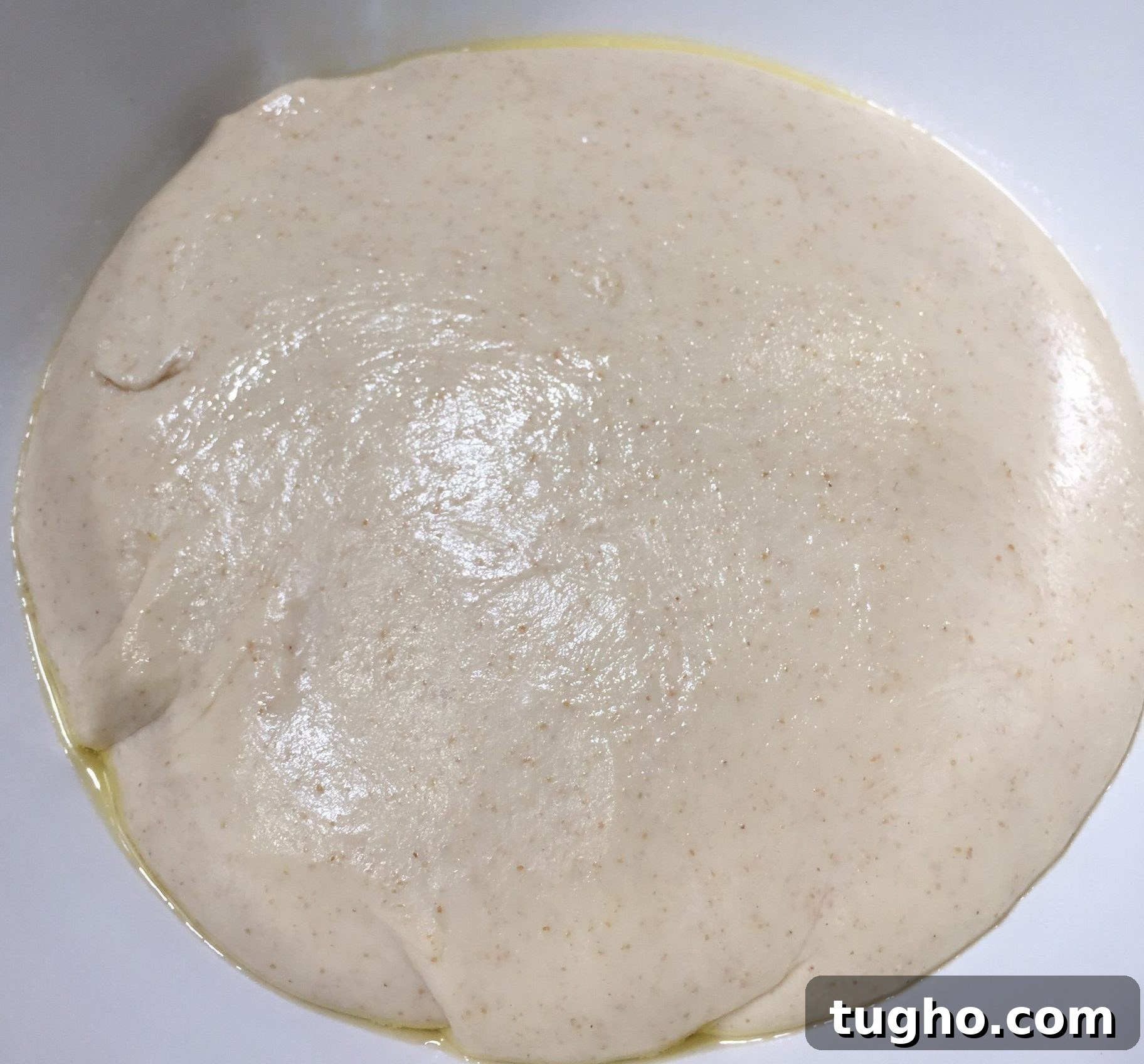 Naan dough after proofing Naan dough after proofing