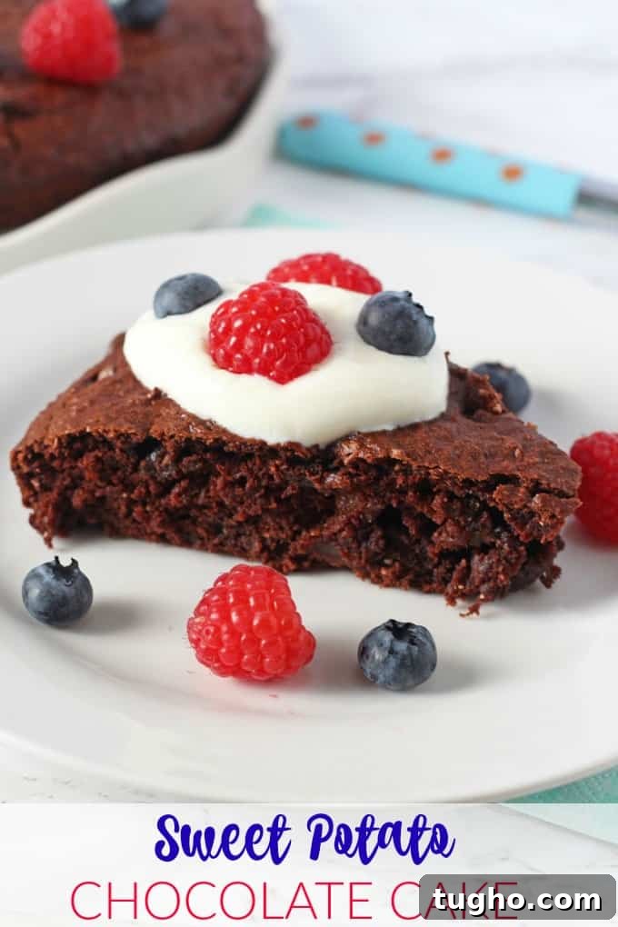 Fudgy Sweet Potato Chocolate Cake Recipe 7 sweet potato chocolate cake pinterest pin