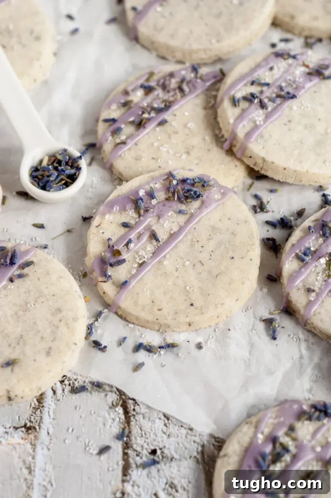 Light golden lavender flavored shortbread cookies with a purple icing drizzle on top and dried lavender and sprinkles.