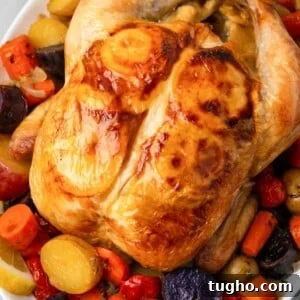 golden brown chicken with lemon underneath skin.