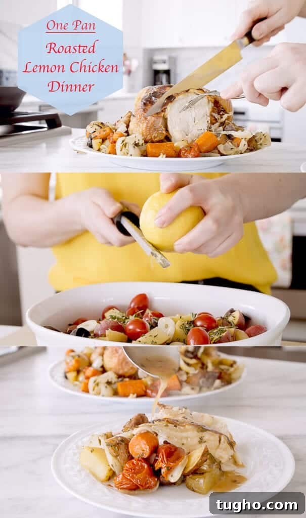 Crispy Oven Roasted Lemon Chicken with Garlic and Herbs 10 img 6902 12