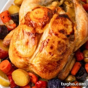 golden brown chicken with lemon underneath skin.