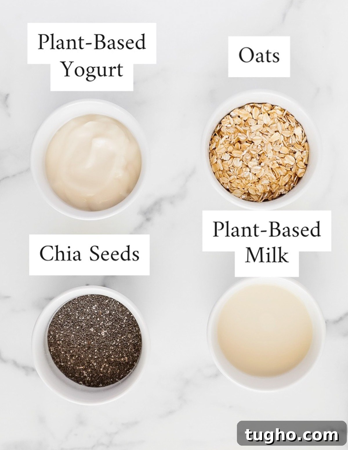 Labeled ingredients including plant-based yogurt, oats, chia seeds, plant-based milk