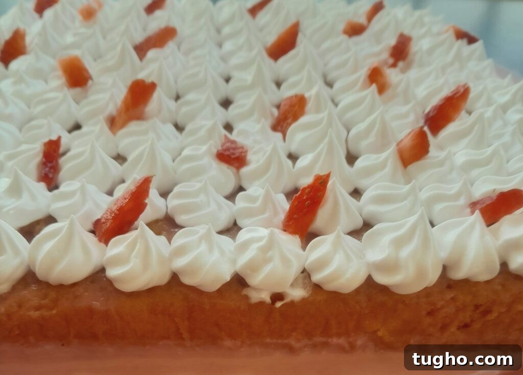 strawberry Tres Leches Cake