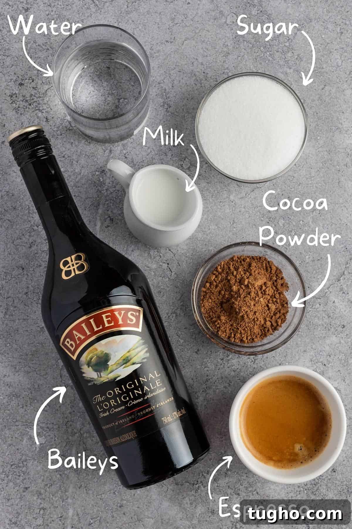 Baileys Iced Coffee Recipe 3 The ingredients needed to make Baileys iced coffee.