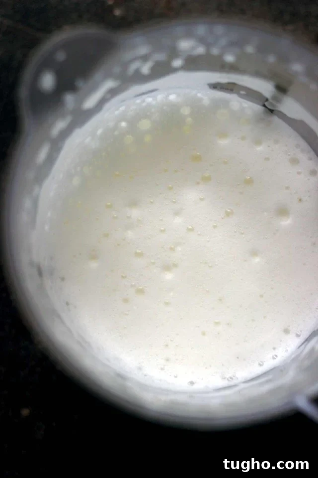Creamy Vegan Pumpkin Spice Latte Recipe 8 Healthy Vegan Pumpkin Spice Latte - Hot Whipped Cashew Milk Closeup