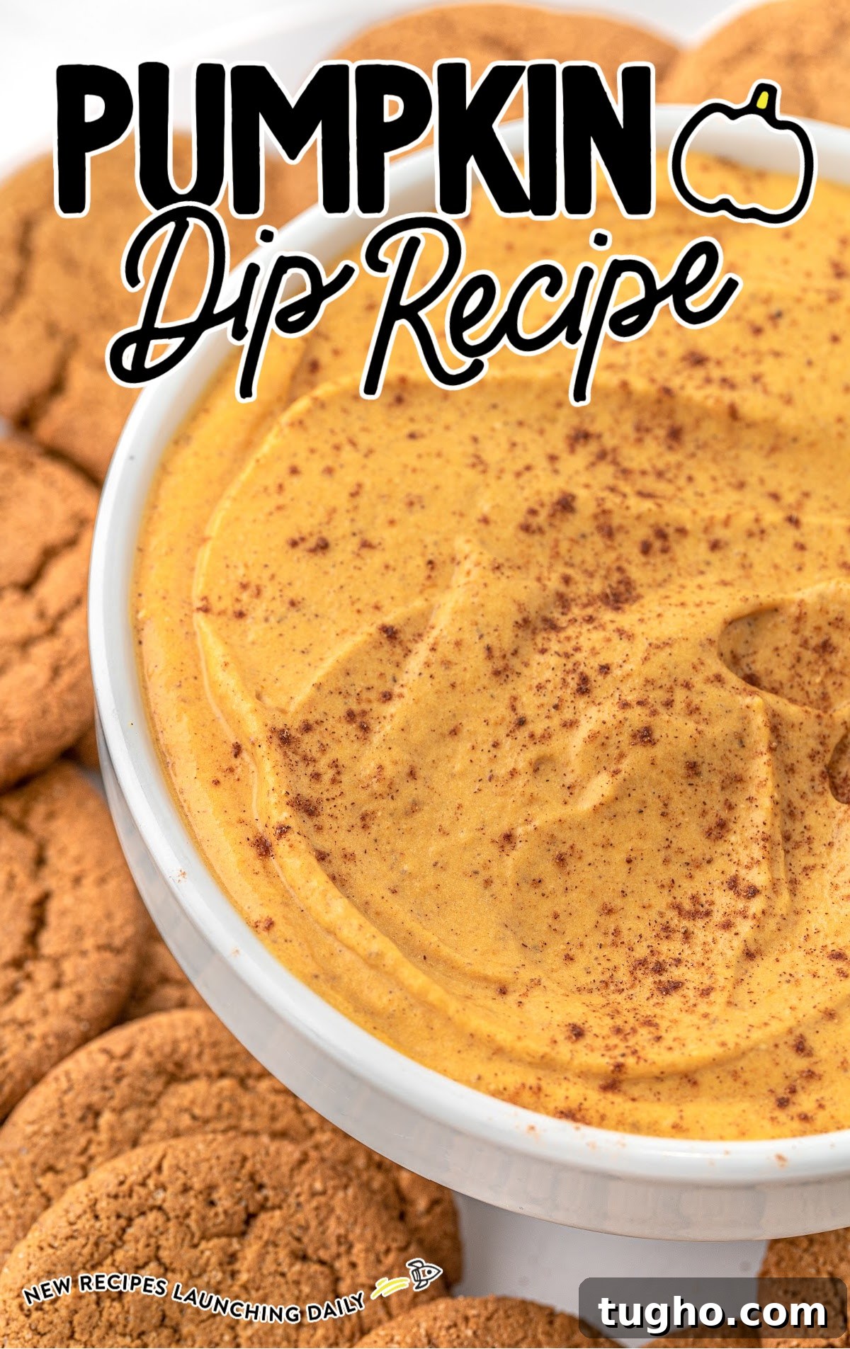 Creamy Pumpkin Dip Recipe for Fall Parties 2 close up shot of a bowl of Pumpkin Dip topped with cinnamon around a bunch of cookies
