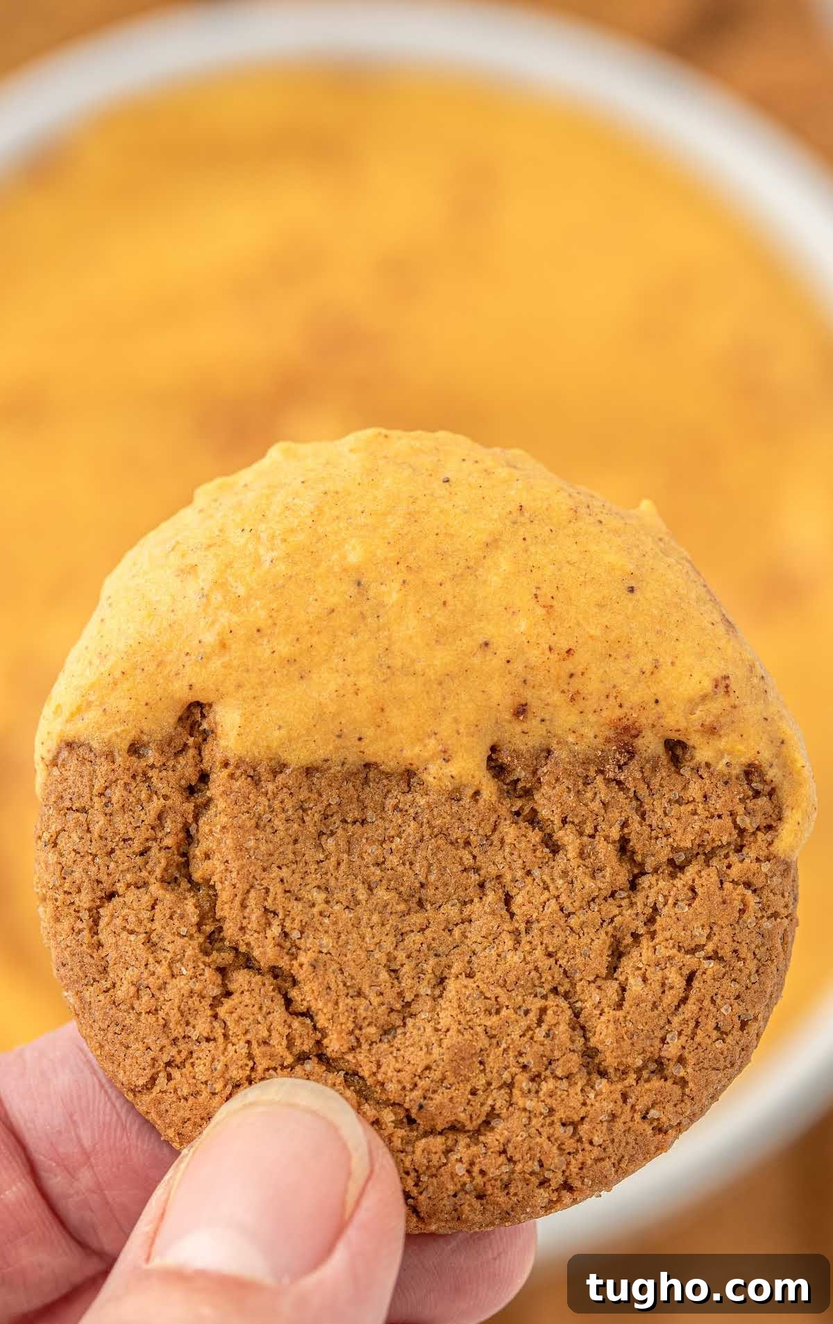Creamy Pumpkin Dip Recipe for Fall Parties 6 close up shot of a cookie dipped into Pumpkin Dip