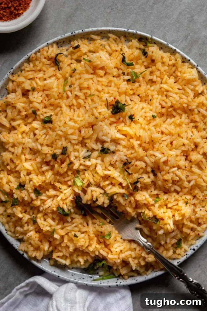 Tajín Rice Recipe with Lime and Cilantro 2 Top-down shot of a large plate of orange rice on a grey background.