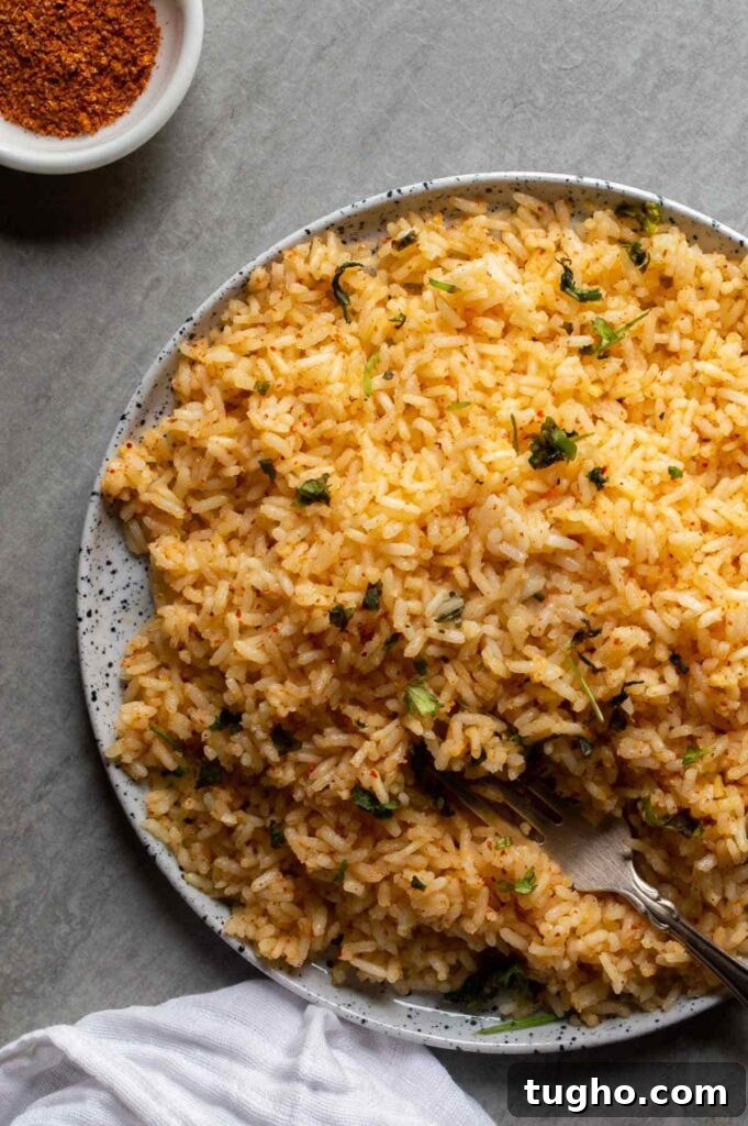 Tajín Rice Recipe with Lime and Cilantro 8 Off-center plate of orange rice with a small white bowl of red seasoning in the upper-right corner.