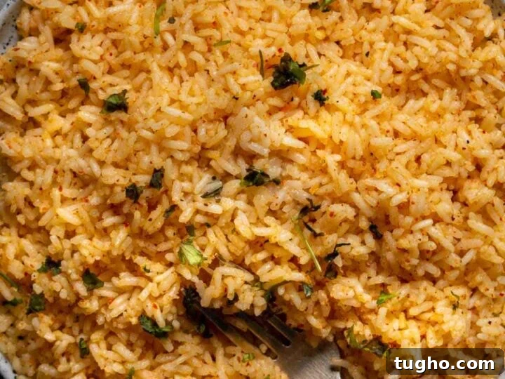Top-down shot of a large plate of orange rice on a grey background.