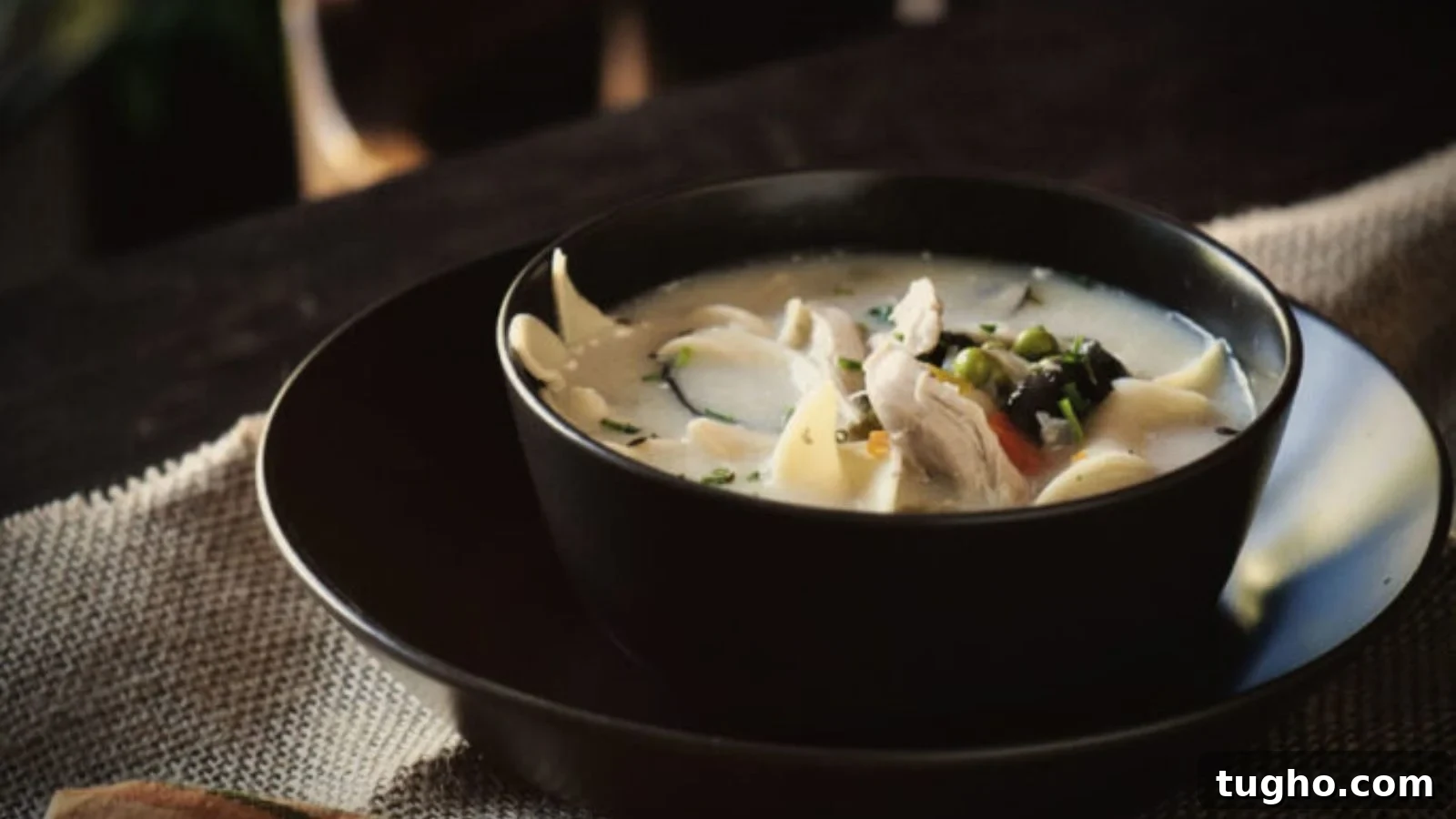 Chicken noodle soup slow cooked creamy and thick.