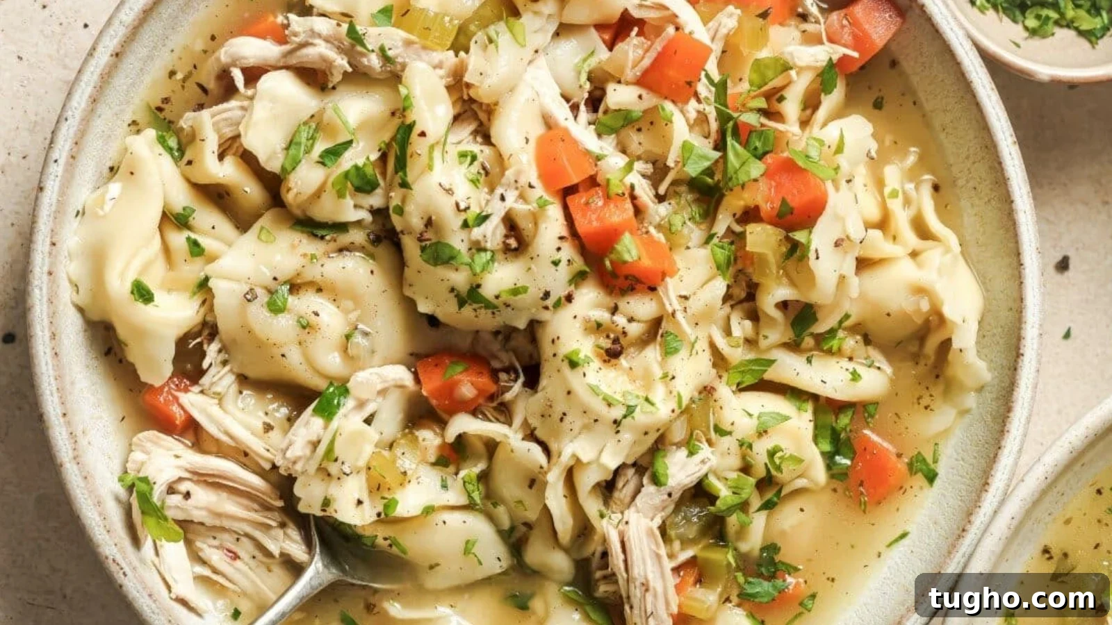 A bowl of chicken tortellini soup with vegetables and herbs.
