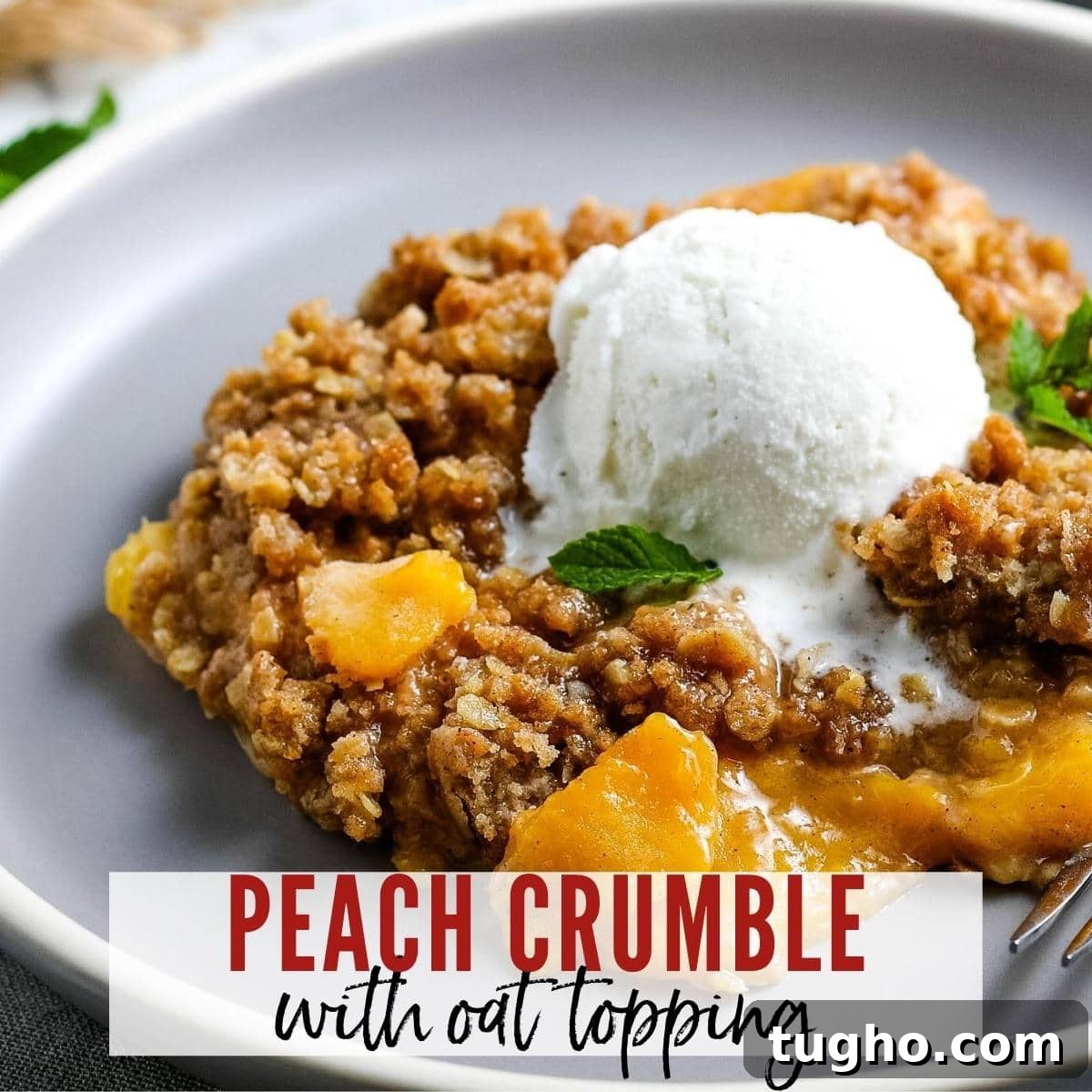 Peach Oat Crumble Recipe 2 close up of peach crumble with oats topped with vanilla ice cream with text overlay