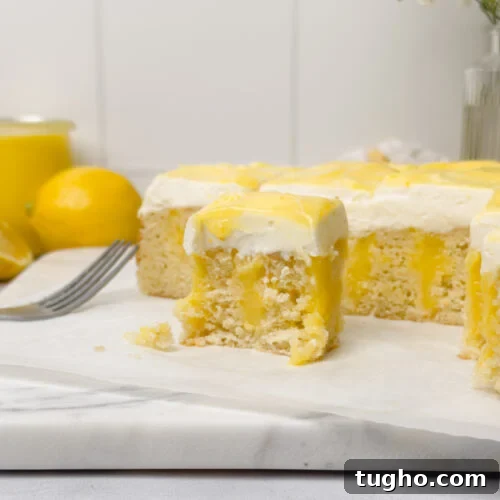 Lemon Curd Cake with Moist Layers and Citrus Cream 10 Lemon Curd Cake