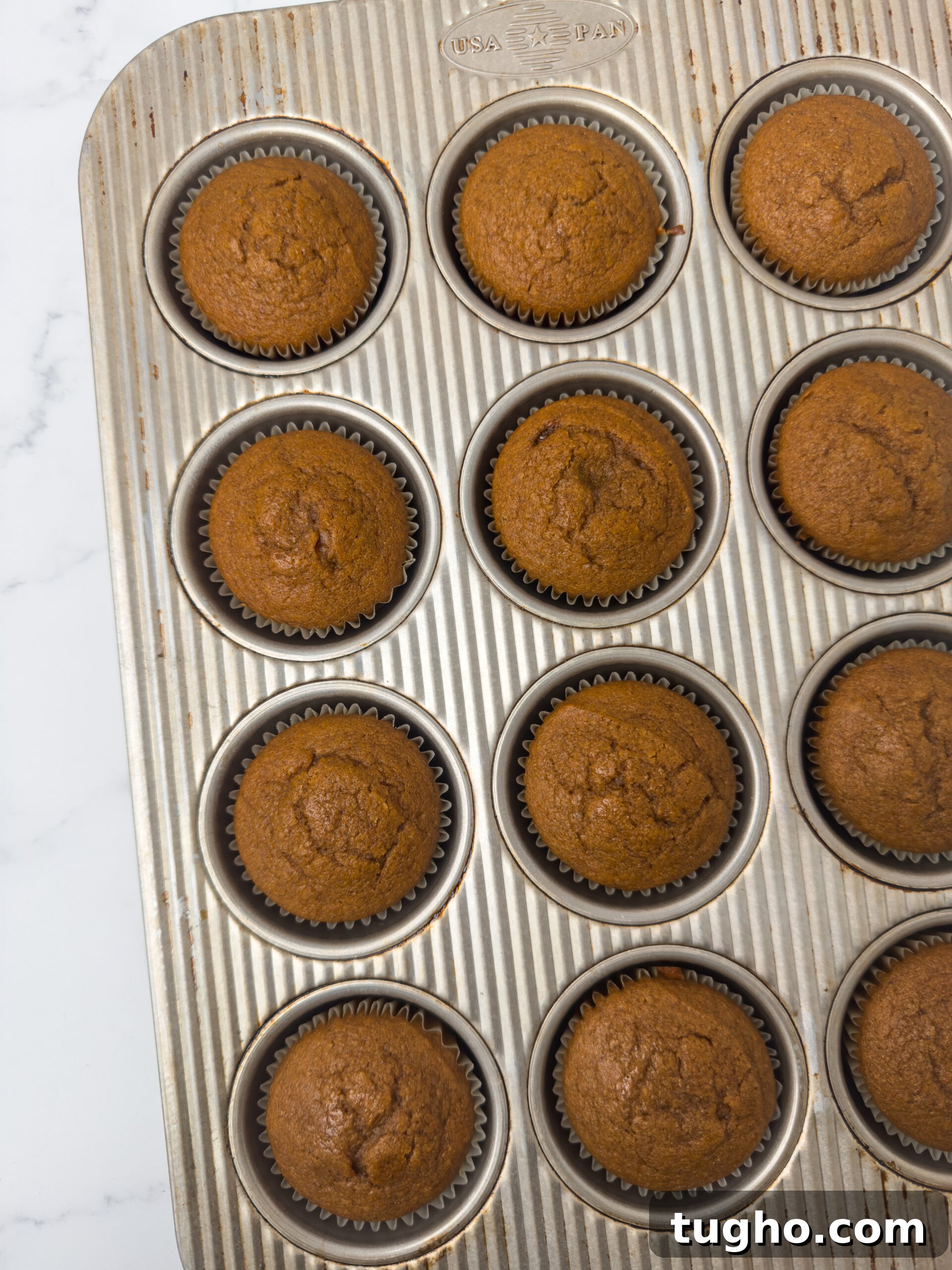 Baked pumpkin cupcakes cooling