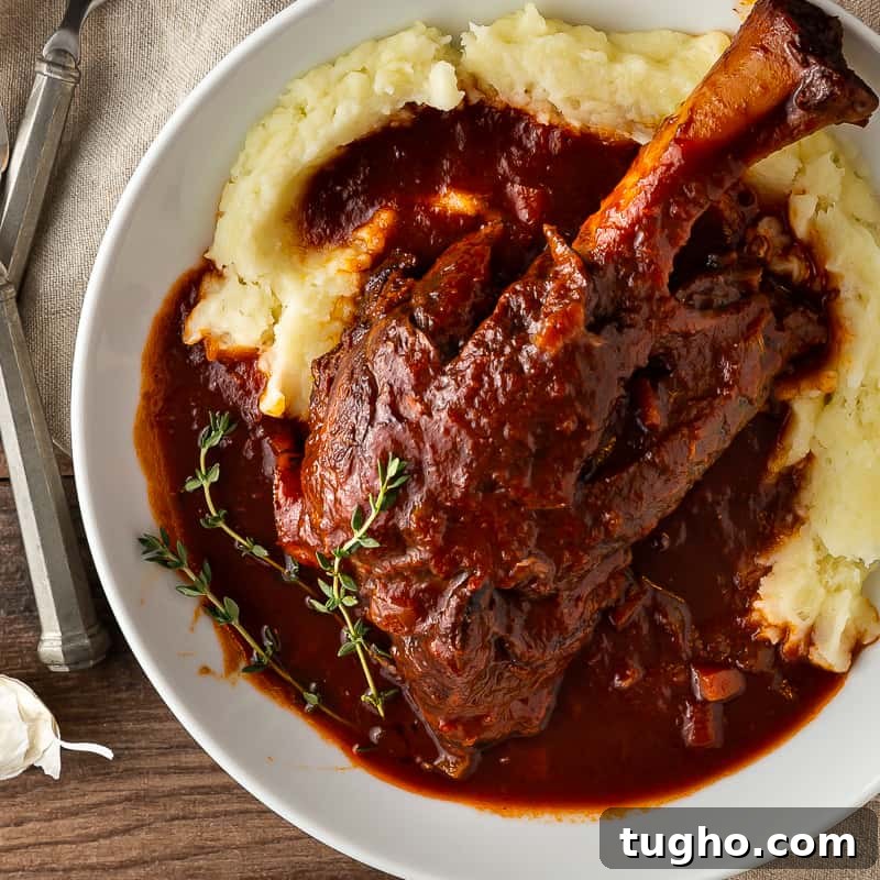 Lamb Shanks Braised in Red Wine 2 red wine braised lamb shank over mashed potatoes
