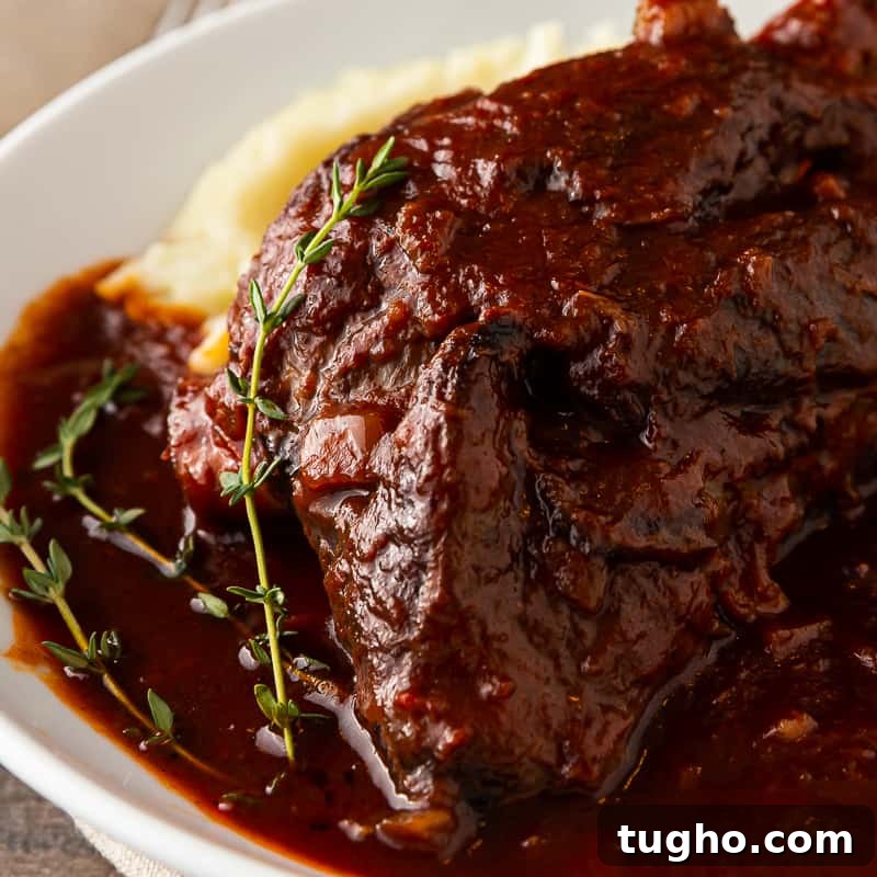 Lamb Shanks Braised in Red Wine 3 best lamb shank recipe