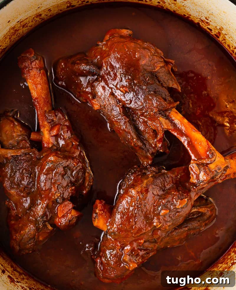 Lamb Shanks Braised in Red Wine 6 tender lamb shanks after braising